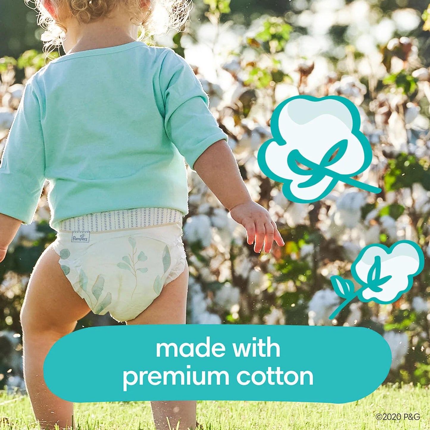 Pampers Pure Protection One-Month Supply Diapers (Sizes 1 - 6)